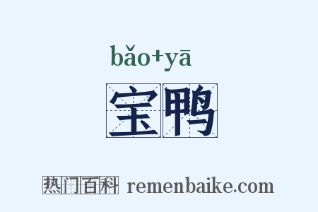 宝鸭是什么意思的图片